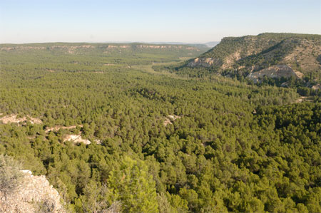 Estercuel