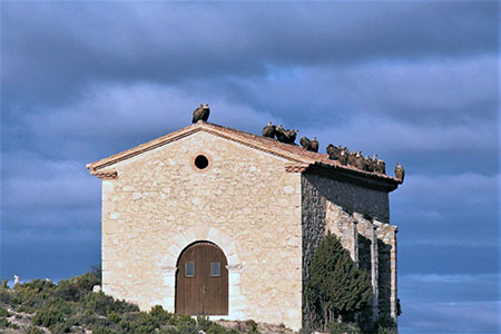 Por el R&iacute;o Mart&iacute;n
