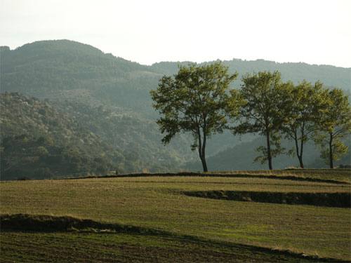 Paisaje de Ejulve