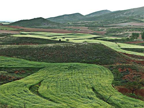Sierra de Arcos - Ari�o