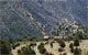 Mirador de los &oacute;rganos